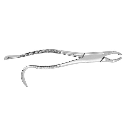 Extracting Forceps #210