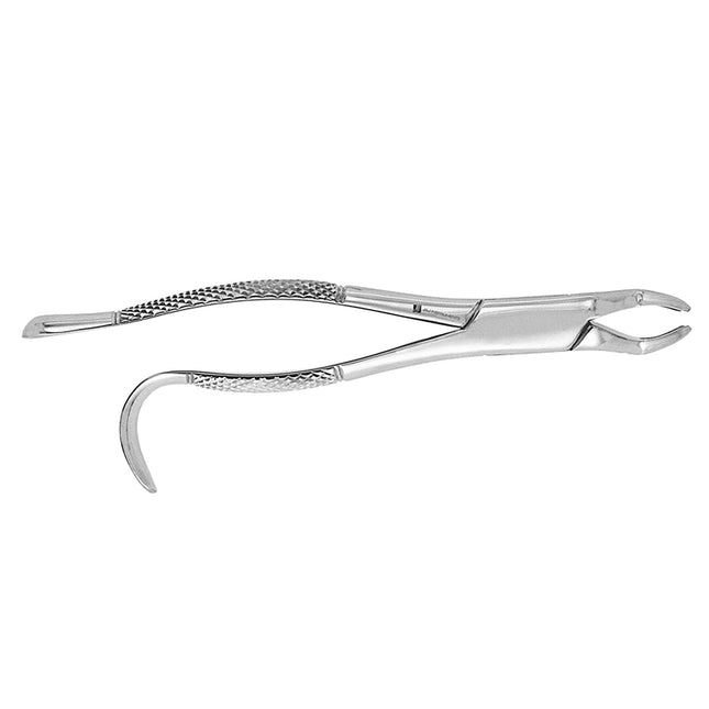 Extracting Forceps #210
