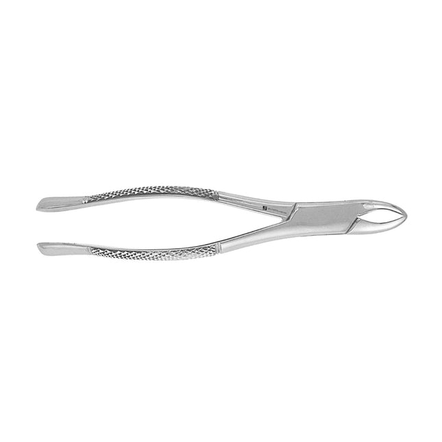 Extracting Forceps #62