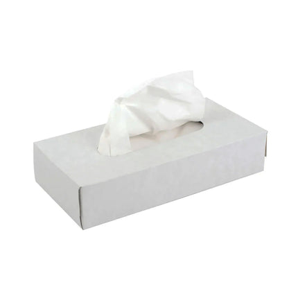 Safe-Dent Facial Tissues 2-Ply White (100/bx)
