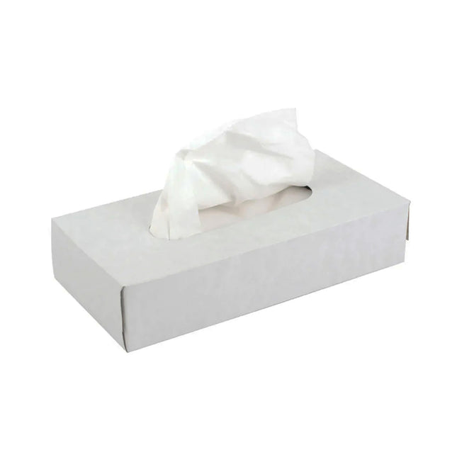 Safe-Dent Facial Tissues 2-Ply White (100/bx)
