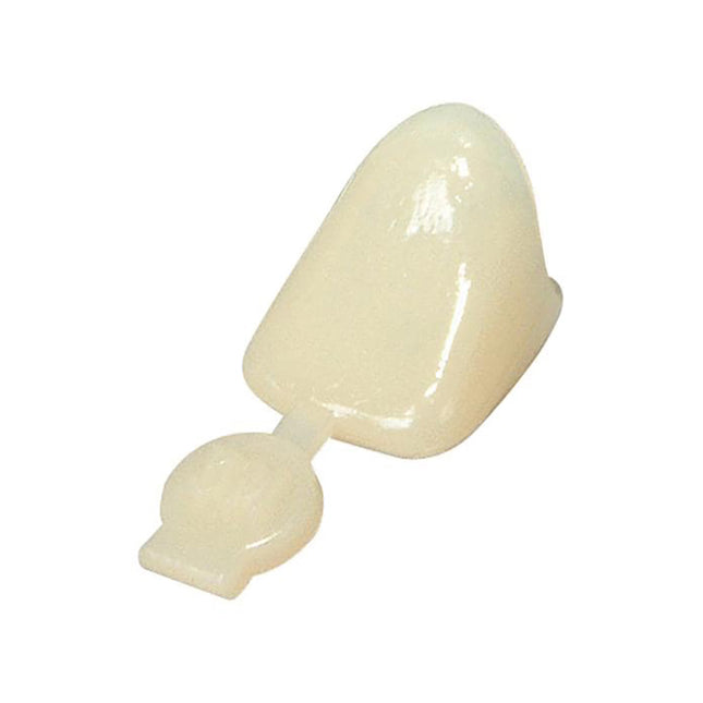 3M Polycarbonate Prefabricated Crowns #38 (5)
